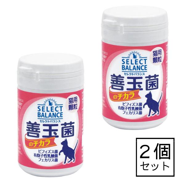 ＼　乳酸菌ゴールドから善玉菌のチカラにパッケージがリニューアルしました！　／顆粒状なので、ミルクに溶かしたり、フードに混ぜたりして食べさせやすい。母乳に含まれるラクトフェリンを配合し、乳酸菌、ビール酵母の働きと共に仔猫の健康に役立ちます。ラ...