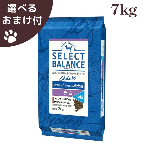セレクトバランス 中粒 アダルト ラム 1才以上の成犬用 7kg SELECT BALANCE 犬 (ドッグフード)