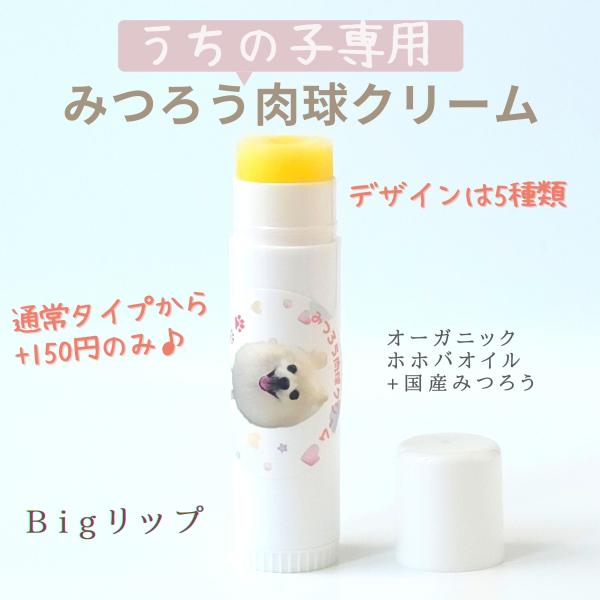 獣医師推奨 大容量Bigリップ うちの子専用みつろう肉球クリーム