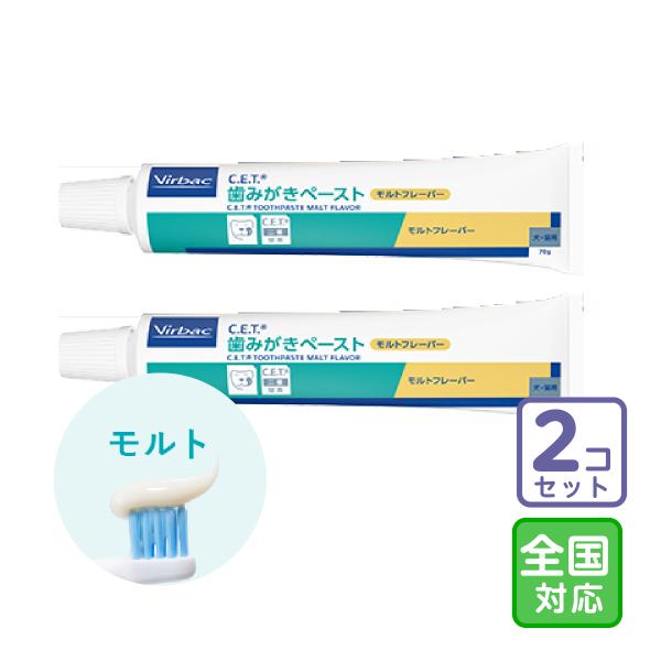お届け先全国対応/2本セット「C.E.T.歯みがきペースト モルトフレーバー」三ビグ【2589】