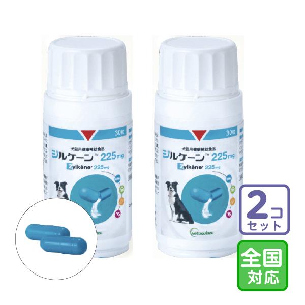 お届け先全国対応/2個セット「ジルケーン 225mg」【0513
