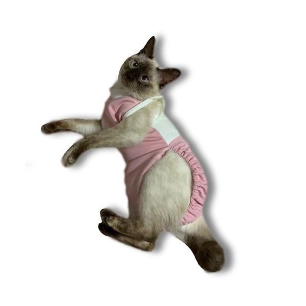 猫術後服 猫保護服 猫用術後ウェア 引っかき 噛みつき対策 L Buyee Buyee Japanese Proxy Service Buy From Japan Bot Online
