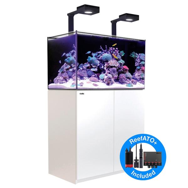 お取り寄せ】【Red Sea】 Reefer G2＋DX 250 ホワイト : ペット