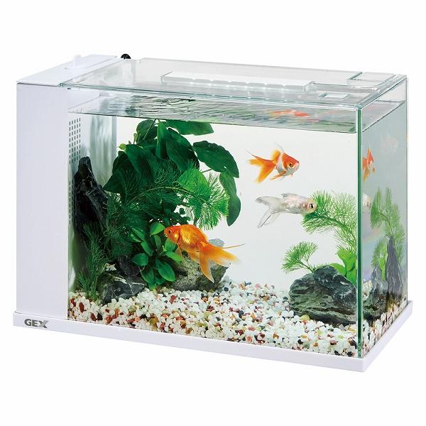 新商品】 GEX アワーズ ブラック オールインワン水槽 HOURS