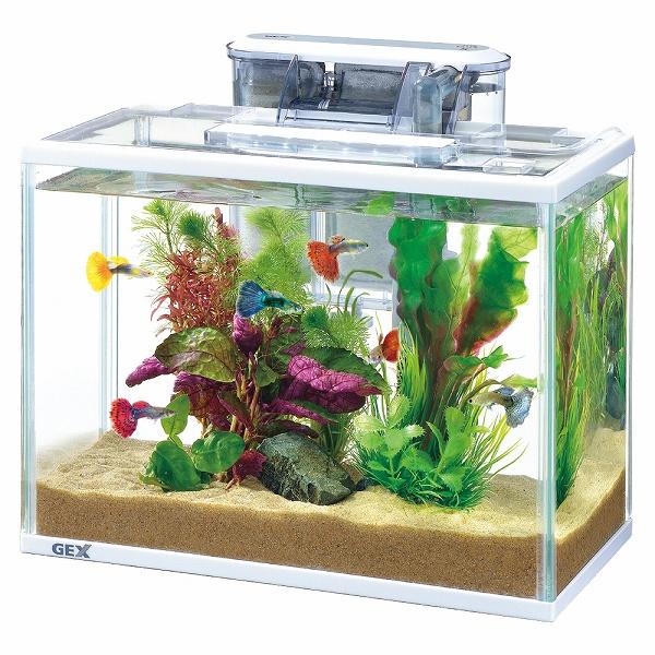 GEX スリムアクアセット 300(淡水、海水)