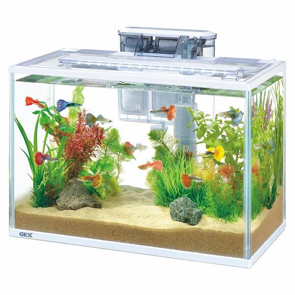 GEX スリムアクアセット 400(淡水、海水) : ペットバルーン ヤフー店