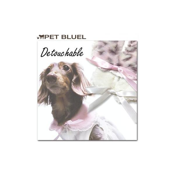    ybg EFA  dog IS PETt݁@ANZT[^eBybg [OK!