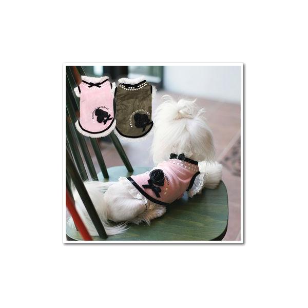    ybg EFA  dog hbO p^Paris Dog KNRT[Ws[X