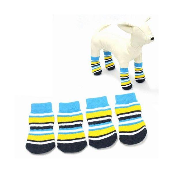 @C  p\bNX CG[×XJCu[ {[_[\bNX @hbOEFA