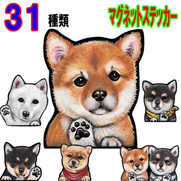 満足させる 吸収 リア王 可愛い 犬 柴犬 Famouschihuahua Net