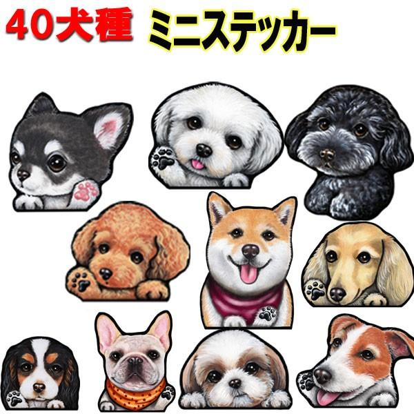 母の日 父の日 誕生日 バースディ ギフト プレゼント お祝い インスタ映え そっくりイラスト 犬グッズ わんこグッズ 愛犬グッズ 犬雑貨 のぞく犬 壁紙 ウォールステッカー ドッグステッカー あおり運転防止 安全運転 チワワ トイプードル...