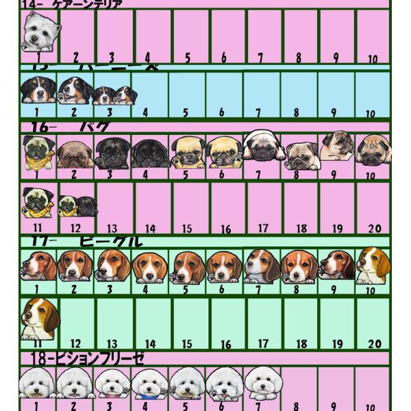 コットン キャンバス トートバッグ M お散歩バッグ インナーポケット 犬 イラスト グッズ カラー オリジナル オーダー 愛犬 雑貨 Www Nlqp Com