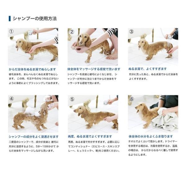 ビルバック アデルミル ペプチド 犬猫用 シャンプー 0ml 2個セット 使用期限 22年8月末 Buyee Buyee Japanese Proxy Service Buy From Japan Bot Online