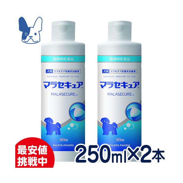 健康管理用品 犬 シャンプー - ペットの人気商品・通販・価格比較 - 価格.com 健康管理用品 犬 シャンプー - ペットの人気商品・通販・価格比較 - 価格.com