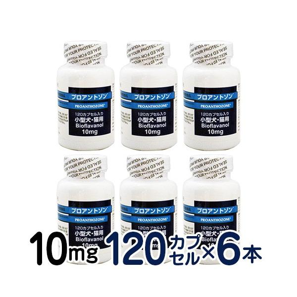 y񂹕iz vAg] 10mg 6Zbg ^ELp