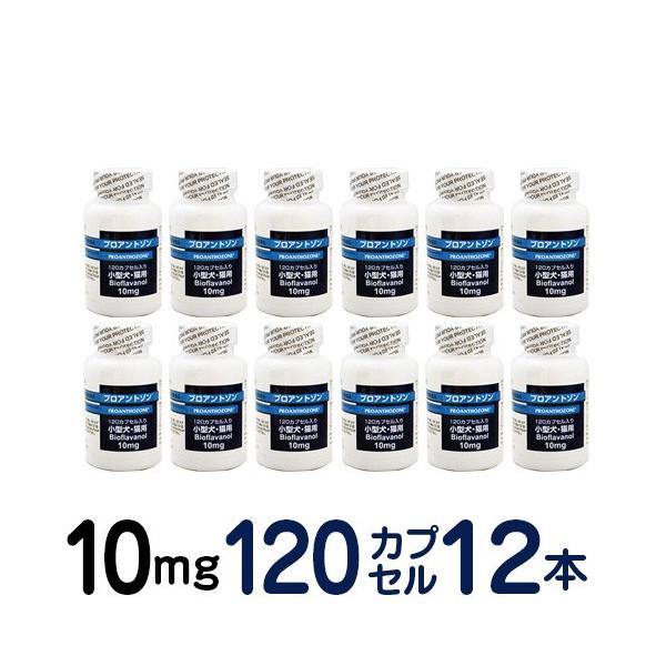 y񂹕iz vAg] 10mg 12Zbg ^ELp