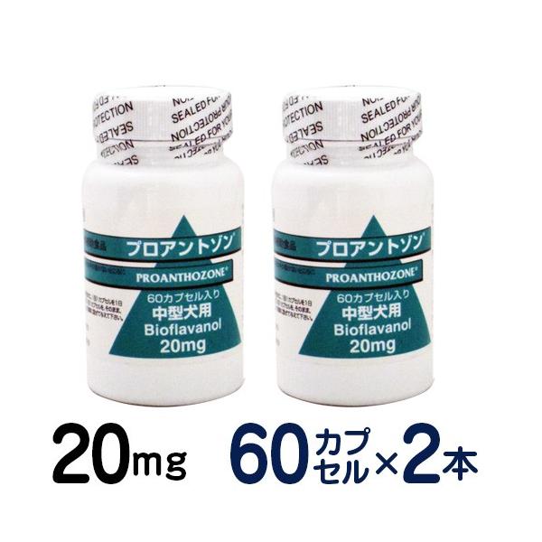 y񂹕iz vAg] 20mg 2Zbg ^p