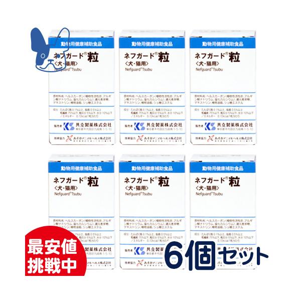 SALEI  ltK[h 12gi90j× 6Zbg