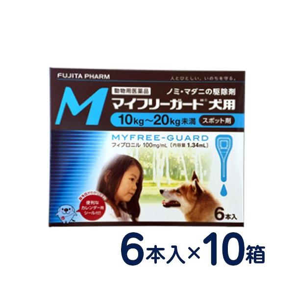 }Ct[K[h p M(10`20kg) 6{×10Zbg m~E}_j\h