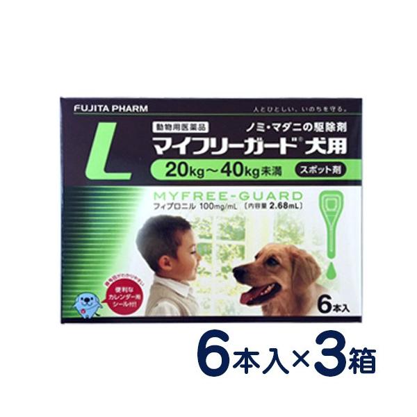 }Ct[K[h p L(20`40kg) 6{×3Zbg m~E}_j\h