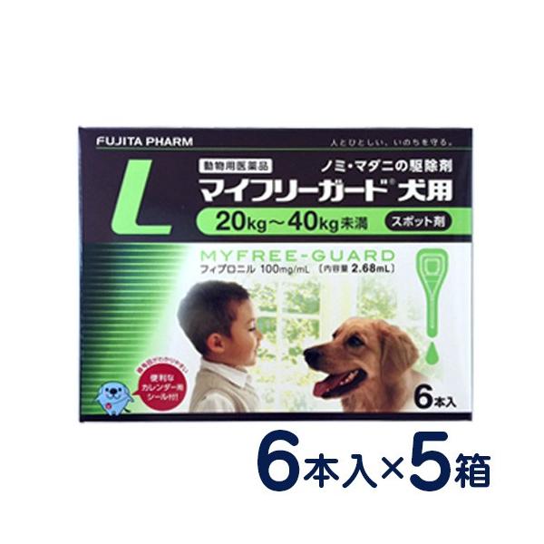 }Ct[K[h p L(20`40kg) 6{×5Zbg m~E}_j\h