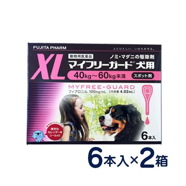 }Ct[K[h p XL(40`60kg) 6{×2Zbg m~E}_j\h