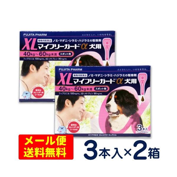 マイフリーガードa 犬用 Xl 40 60kg 3本入り 2個セット ノミ マダニ予防薬 フロントラインプラス ジェネリック メール便選択で送料無料 Buyee Buyee 提供一站式最全面最专业现地yahoo Japan拍卖代bid代拍代购服务 Bot Online