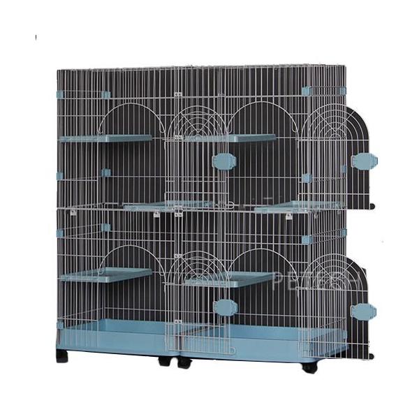 猫清 Amazon | なめ猫 ミニステッカー 免許証 又吉 キャラクター