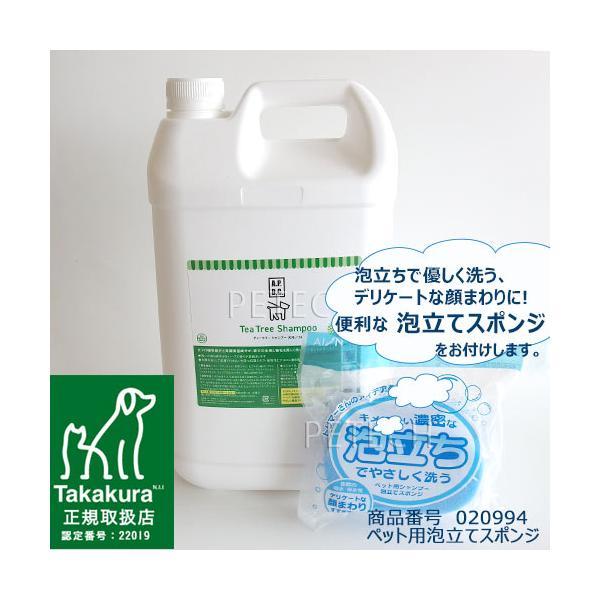 スポンジ付）APDC ティーツリー シャンプー 業務用 5L
