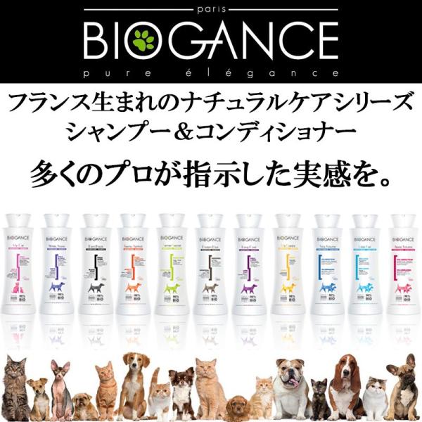 犬猫用シャンプー BIOGANCE バイオガンス シャンプー&コンディショナー 全11種類 犬 シャンプー 猫 シャンプー 250mL : biogance-11:PET FiND 店 - 通販 - 犬猫用シャンプー BIOGANCE バイオガンス シャンプー&コンディショナー 全11種類 犬 シャンプー 猫 シャンプー 250mL : biogance-11:PET FiND 店 - 通販 -