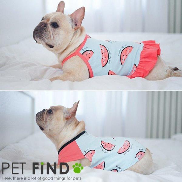 PET FiND（ペットファインド） 犬服 春夏服 フレッシュ！スイカシャツ