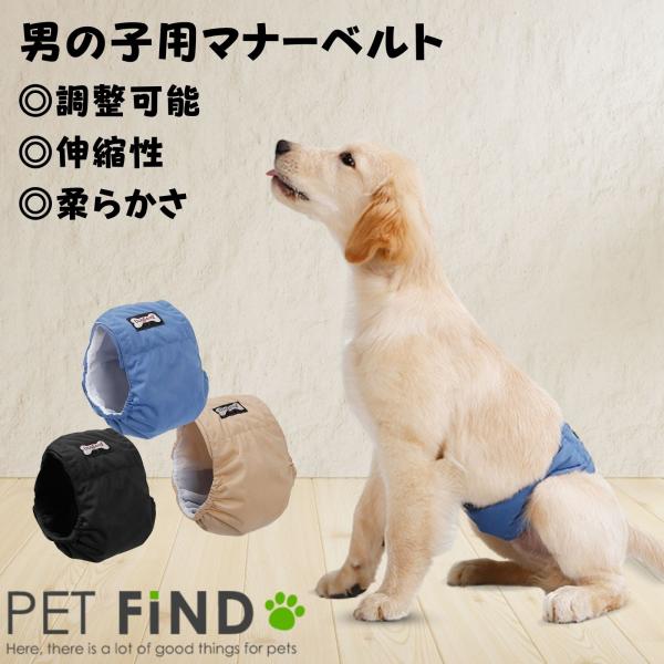 マナーベルト について♡ petfind_crma-1296