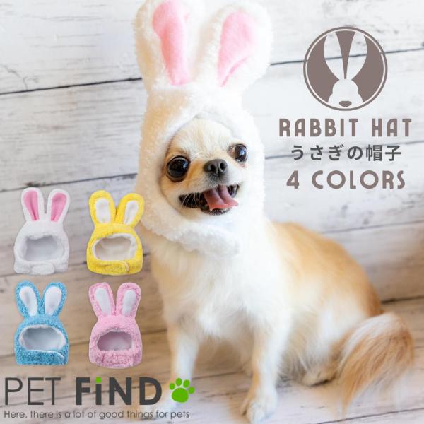 安い犬 正月の通販商品を比較 ショッピング情報のオークファン