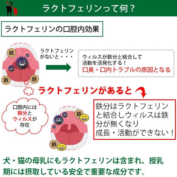 犬 猫 サプリメント ラクトテウス日本製 犬猫用 サプリメント 送料無料 定形外発送 Buyee Buyee Japanese Proxy Service Buy From Japan Bot Online