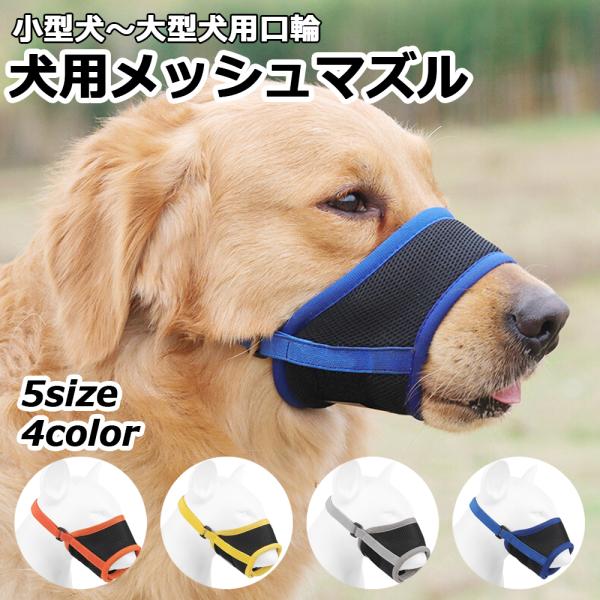 petfind_muzzle-002 petfind_muzzle-002