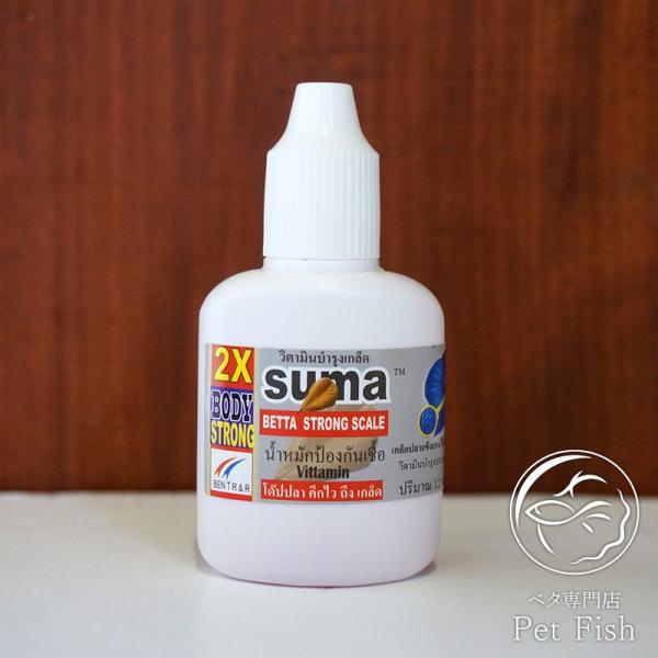スーマ suma セット ベタ SUMA スーマ HIRO : ベタ専門店 ペットフィッシュ - 通販