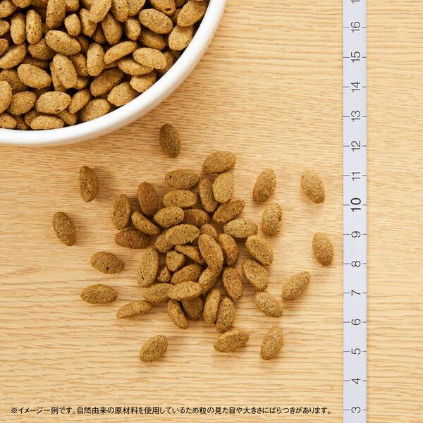 �y2kg�~2�z���j���[�g�� �L���b�g �i�`�������`���C�X ���ʗp �A�_���g �`�L�� 2kg ���i�摜2