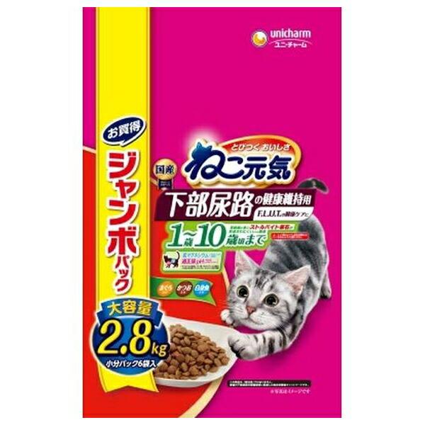 ●商品の納期表示について[ 在庫品 ] 表記 ： 当店在庫品[ 取寄せ ] 表記 ： メーカー在庫有時の発送目安となります。賞味期限：20270430