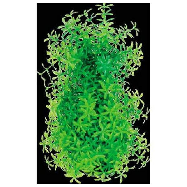 ●商品の納期表示について[ 在庫品 ] 表記 ： 当店在庫品[ 取寄せ ] 表記 ： メーカー在庫有時の発送目安となります。賞味期限：-