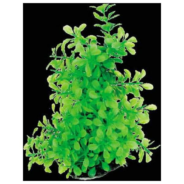 ●商品の納期表示について[ 在庫品 ] 表記 ： 当店在庫品[ 取寄せ ] 表記 ： メーカー在庫有時の発送目安となります。賞味期限：-