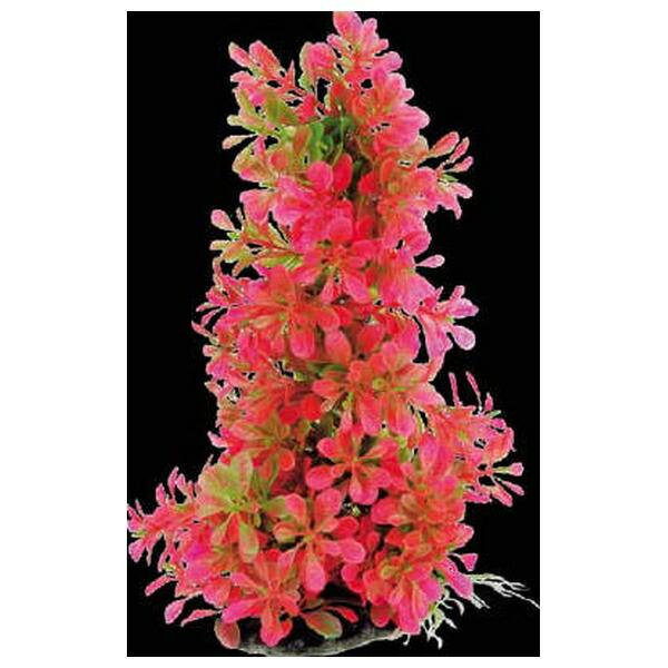 ●商品の納期表示について[ 在庫品 ] 表記 ： 当店在庫品[ 取寄せ ] 表記 ： メーカー在庫有時の発送目安となります。賞味期限：-