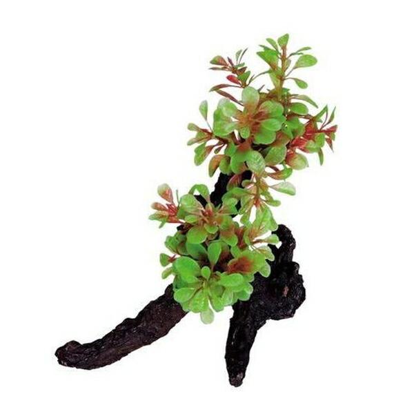 ●商品の納期表示について[ 在庫品 ] 表記 ： 当店在庫品[ 取寄せ ] 表記 ： メーカー在庫有時の発送目安となります。賞味期限：-