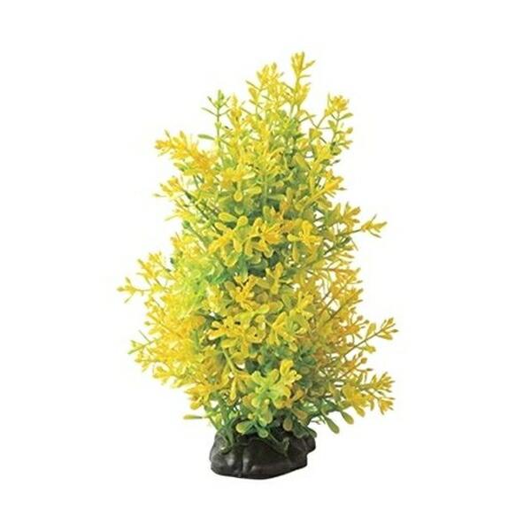 ●商品の納期表示について[ 在庫品 ] 表記 ： 当店在庫品[ 取寄せ ] 表記 ： メーカー在庫有時の発送目安となります。賞味期限：-