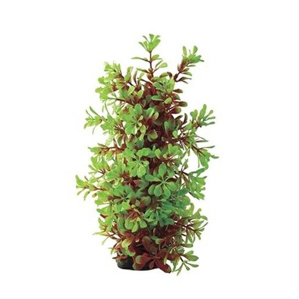 ●商品の納期表示について[ 在庫品 ] 表記 ： 当店在庫品[ 取寄せ ] 表記 ： メーカー在庫有時の発送目安となります。賞味期限：-