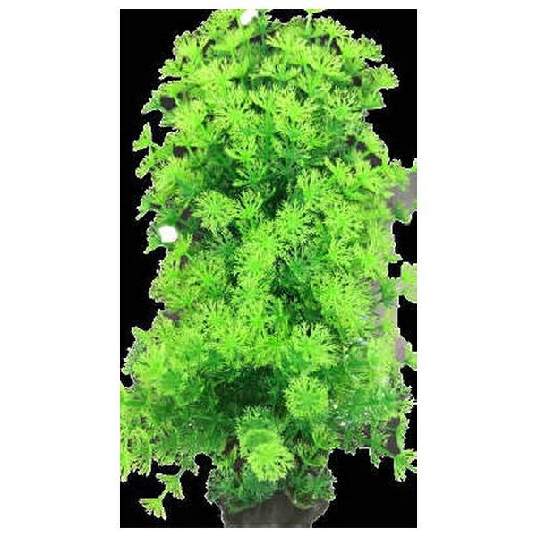 ●商品の納期表示について[ 在庫品 ] 表記 ： 当店在庫品[ 取寄せ ] 表記 ： メーカー在庫有時の発送目安となります。賞味期限：-