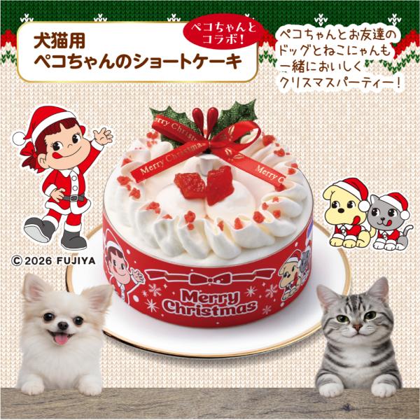 2026年クリスマスケーキ 犬猫用ペコちゃんのショートケーキ 犬猫用 予約販売【冷凍】