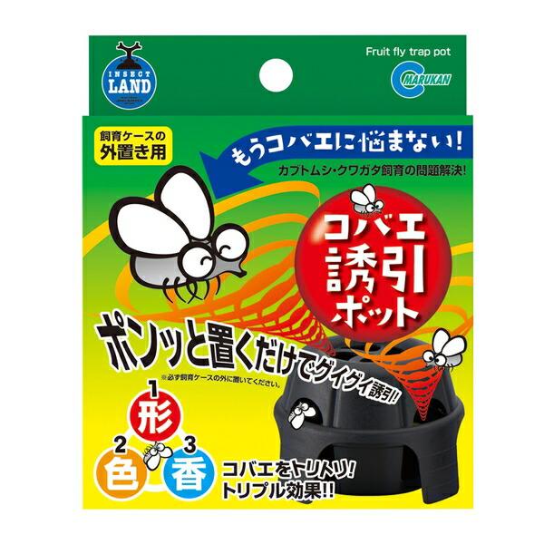 ●商品の納期表示について[ 在庫品 ] 表記 ： 当店在庫品[ 取寄せ ] 表記 ： メーカー在庫有時の発送目安となります。賞味期限：-