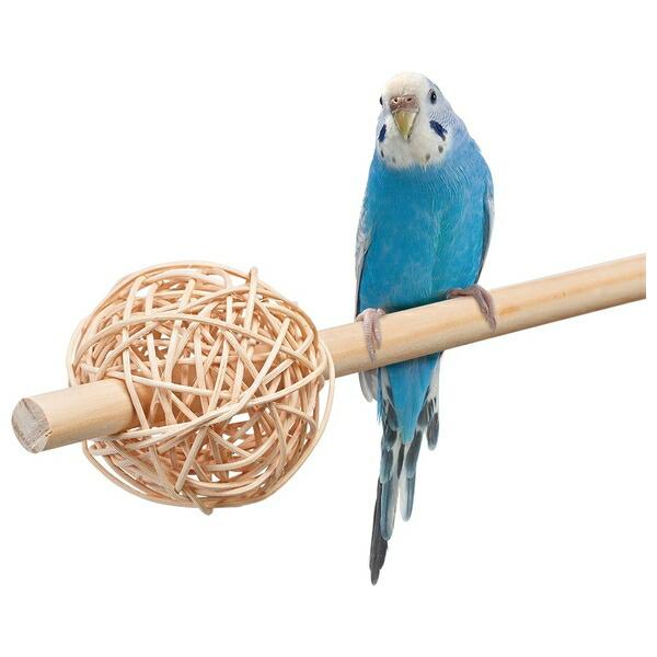 ●商品の納期表示について[ 在庫品 ] 表記 ： 当店在庫品[ 取寄せ ] 表記 ： メーカー在庫有時の発送目安となります。賞味期限：-