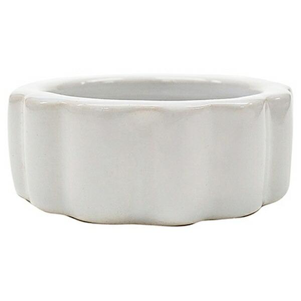 ●商品の納期表示について[ 在庫品 ] 表記 ： 当店在庫品[ 取寄せ ] 表記 ： メーカー在庫有時の発送目安となります。賞味期限：-