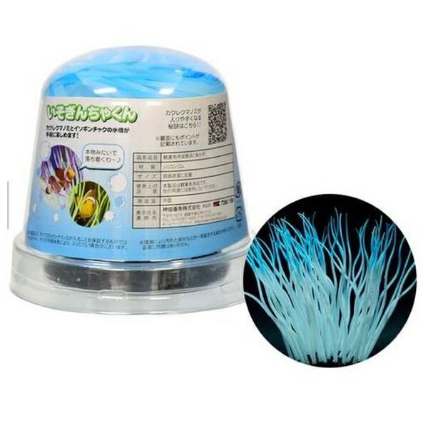 ●商品の納期表示について[ 在庫品 ] 表記 ： 当店在庫品[ 取寄せ ] 表記 ： メーカー在庫有時の発送目安となります。賞味期限：-